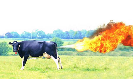 Green New Deal’s false scientific premise exposed: Physicist rips cow farting climate fears: ‘Worrying about methane emissions is the greatest waste of time’
