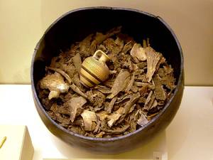 Ancient cremated human remains