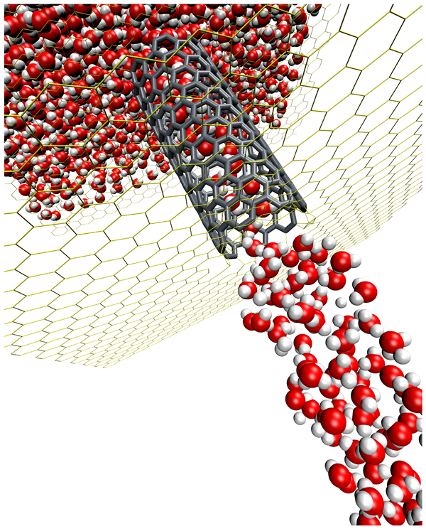 A computational molecular simulation of highly-efficient water filtration 