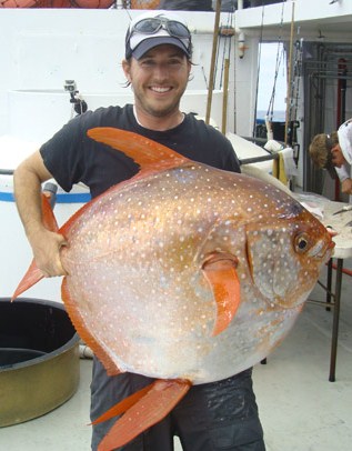 Opah - first warm blooded fish