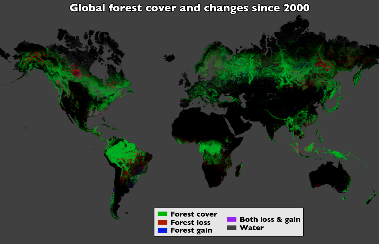 Satellite map of deforestation