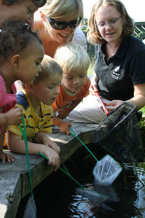 Pond dipping at the WWT London Wetland Centre
