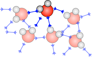 Water molecules on the surface