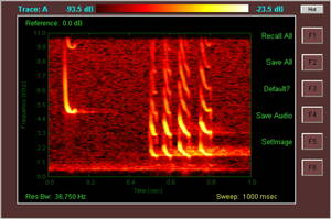 Spectrogram of Pipistrellus pipistrellus (Common Pipistrelle) bat vocalizations
