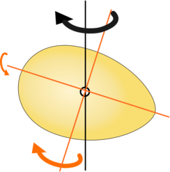 Egg rotation vectors