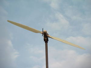 Whale inspired wind turbine