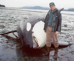 Bruce Wright with a dead killer whale