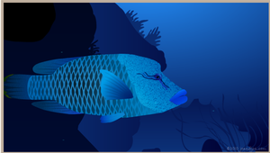 Humphead wrasse animation still by Jo and Joe cards