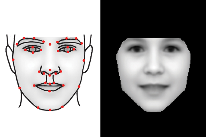 Computer face modelling 