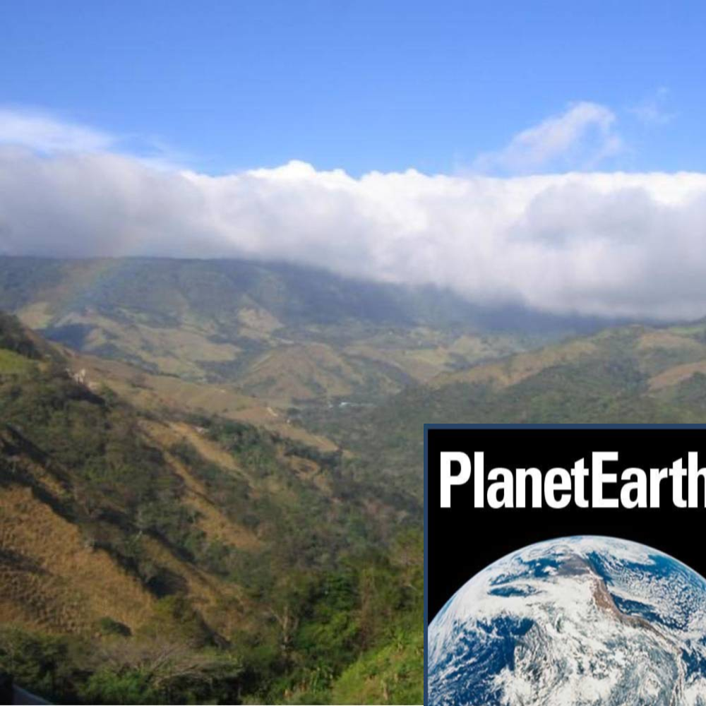 Citizen science projects, plants and greenhouse gases - Planet Earth Podcast - 12.12.11