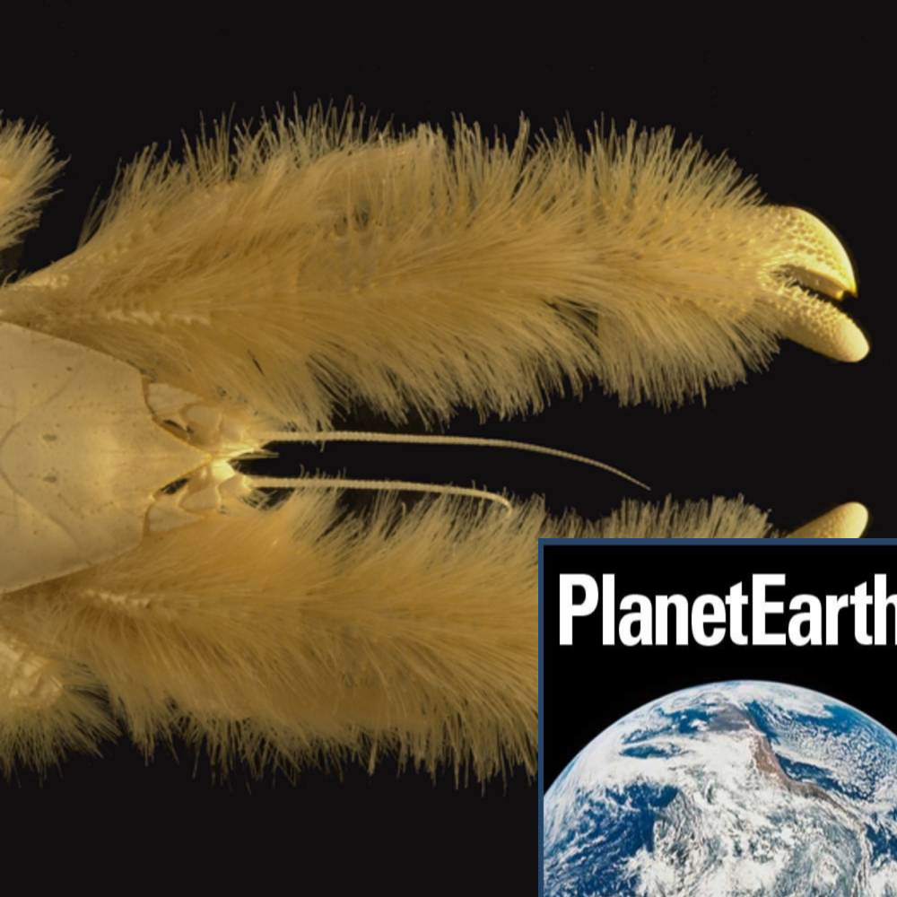 Planet Earth Podcast highlights from 2012 - Planet Earth Podcast - 12.12.26