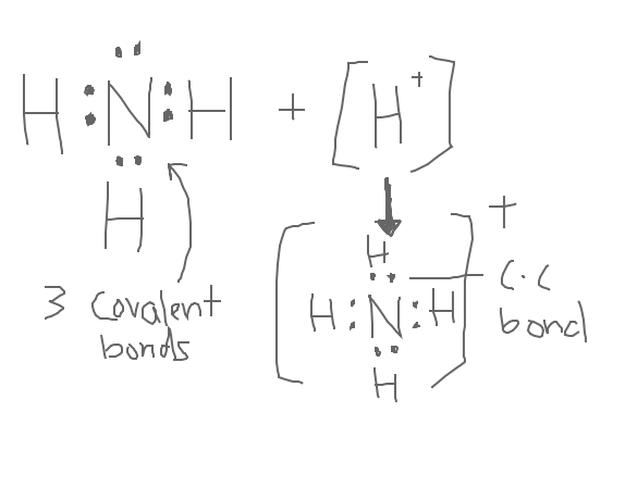 Do Ammonium Ions Contain Coordinate Covalent Bonds? - Naked Science Forum