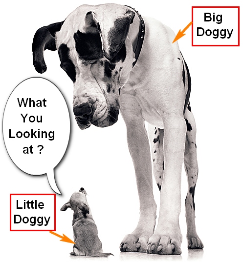 why large dogs are better than small dogs