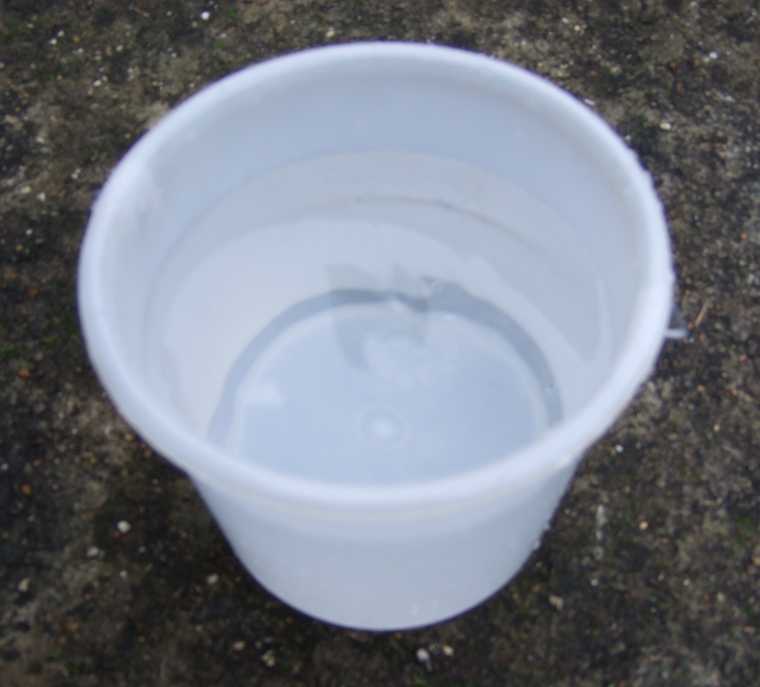 Bucket of Water