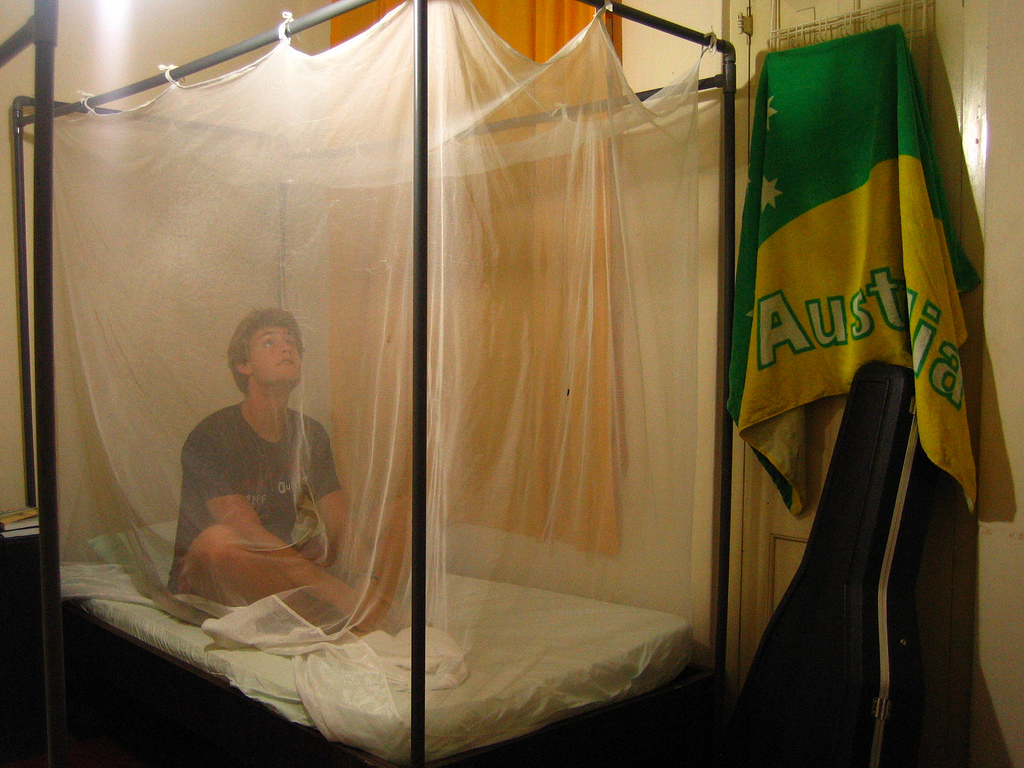 Mosquito Net