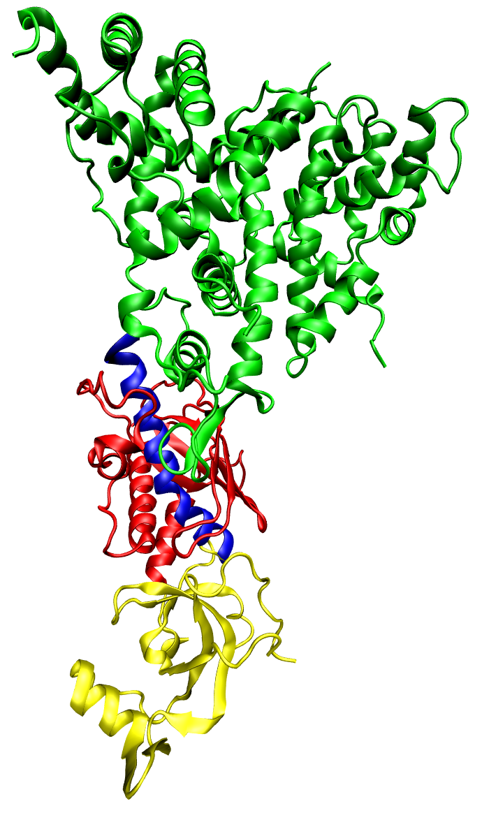 One molecule of the Dicer-homolog protein from Giardia intestinalis