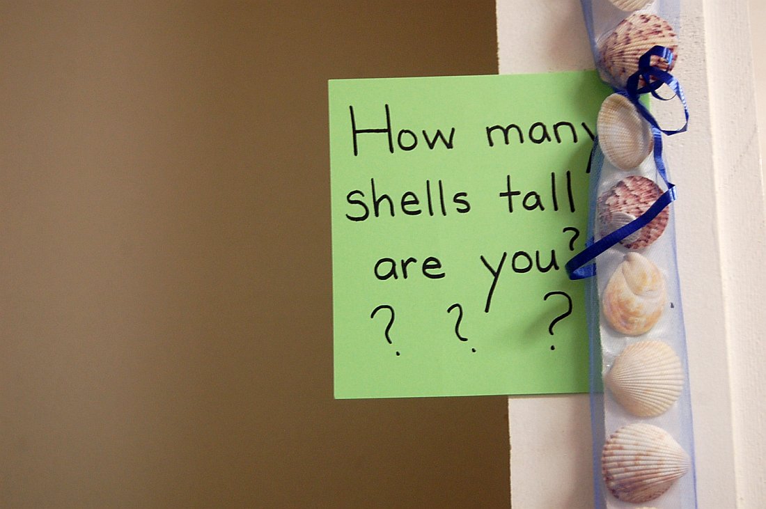 How Many Shells Tall are You?
