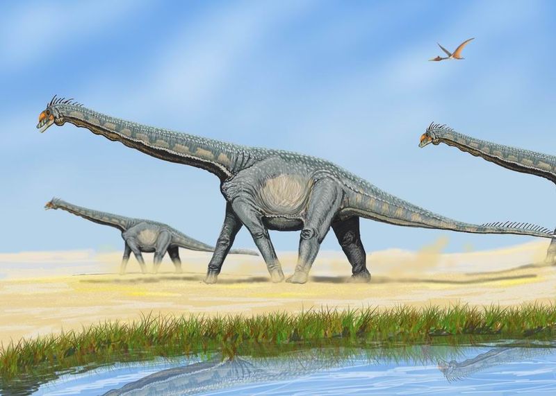 The sauropod Alamosaurus