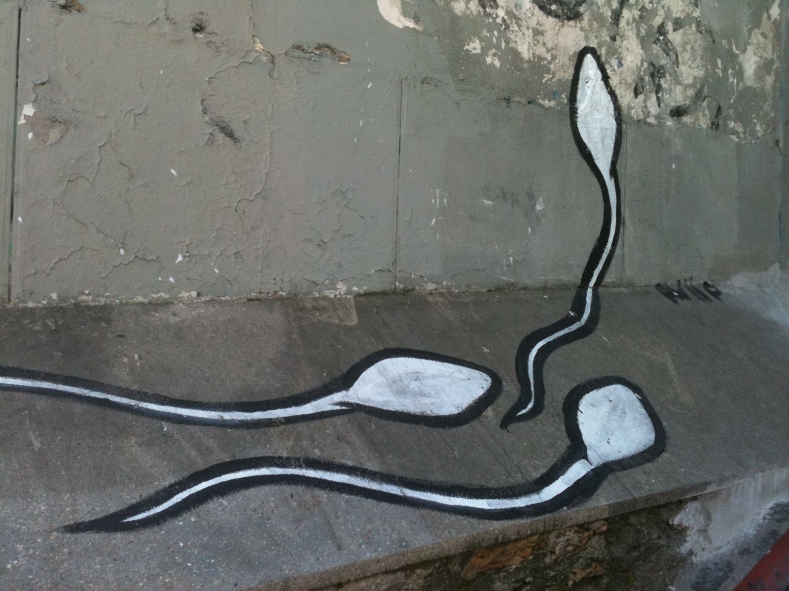 Graffiti sperm 