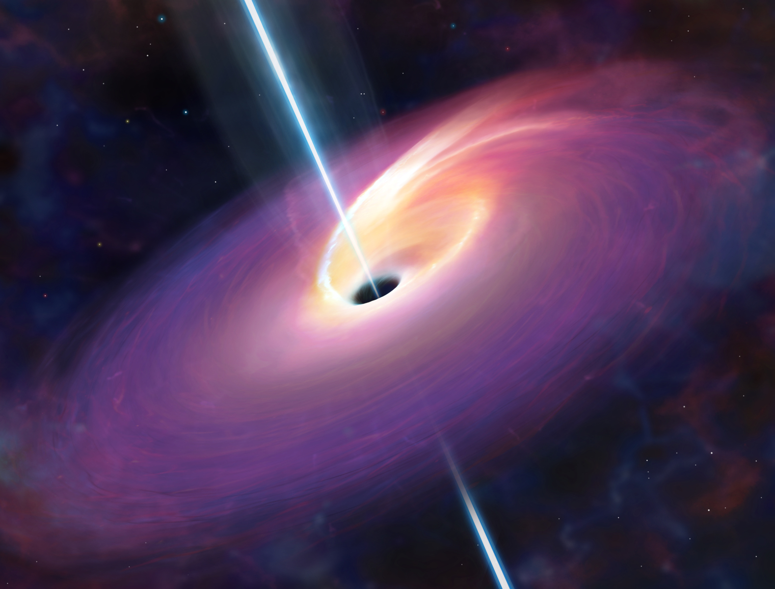 The aftermath of a large star being consumed by a black hole
