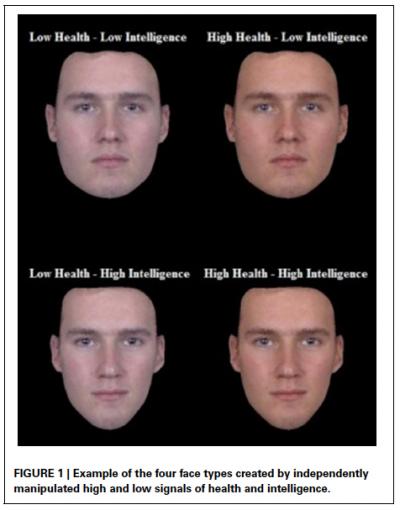Healthy and Intelligent Faces