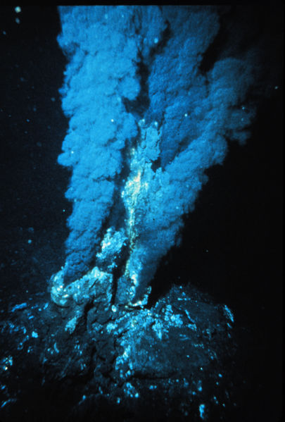 A Hydrothermal Vent