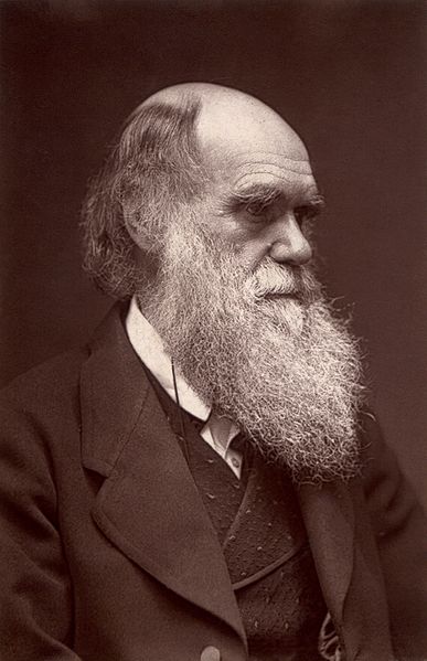 A Woodburytype carte de visite photograph of Charles Darwin, published by John G. Murdoch. 