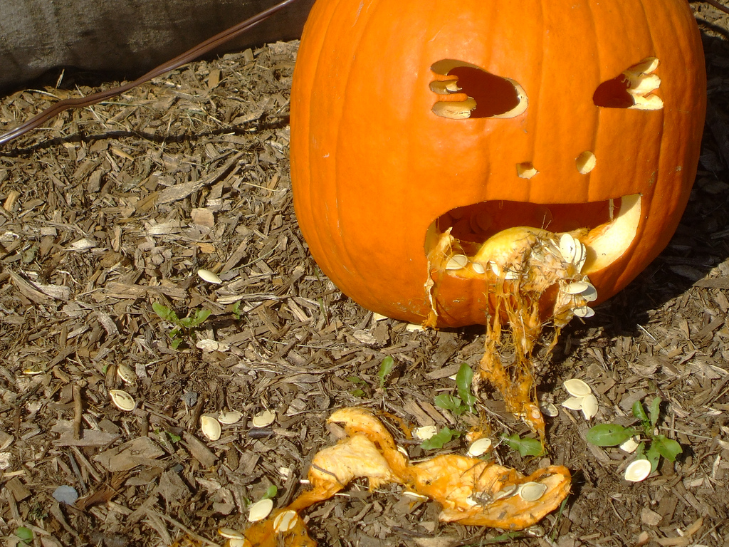 The vomiting pumpkin