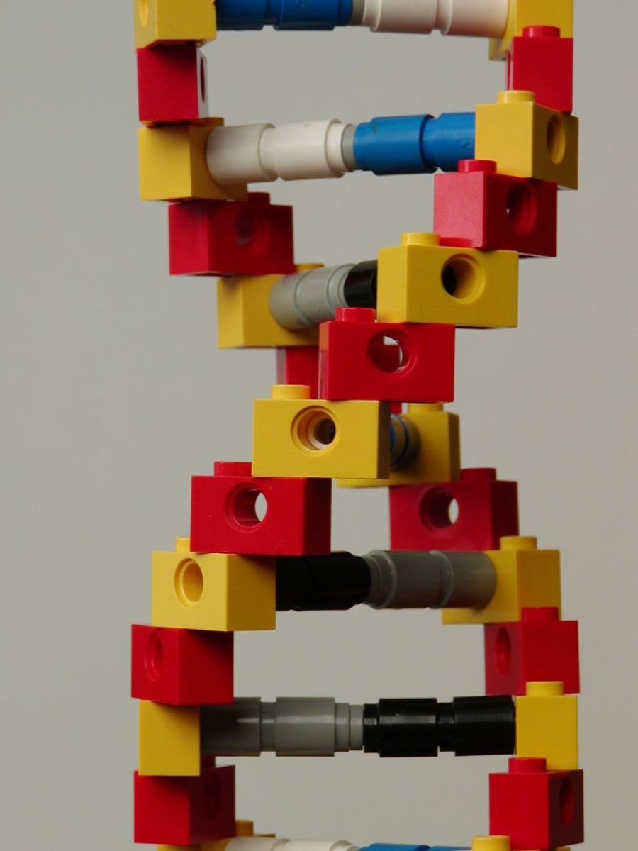 Lego DNA