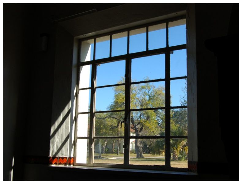 View out a window from a darkened room. Fort Sam Houston, San Antonio Texas (December 2006).