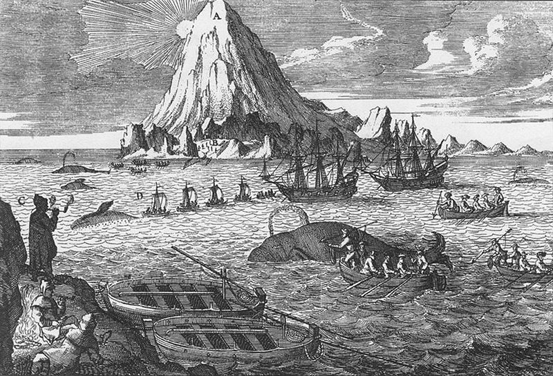Arctic whaling engraving