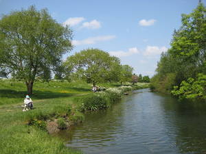 The banks of the Cam at Grantchester