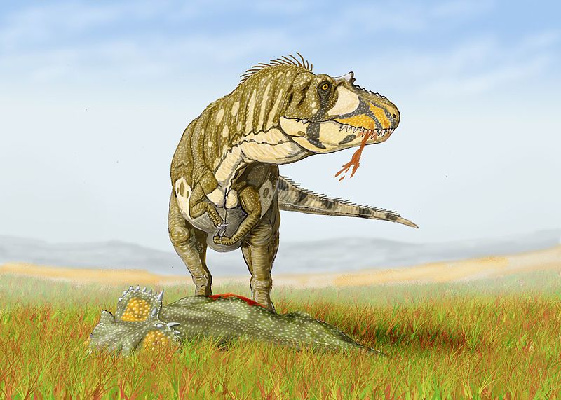 Artist's impression of Daspletosaurus
