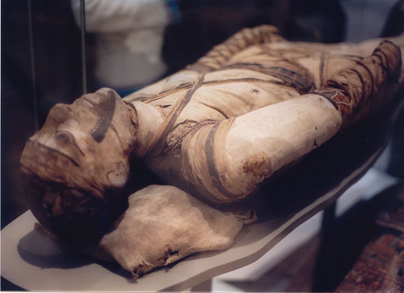 Tubercular decay of Egyptian Mummy