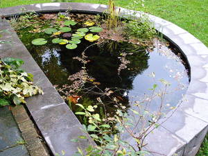A Garden Pond