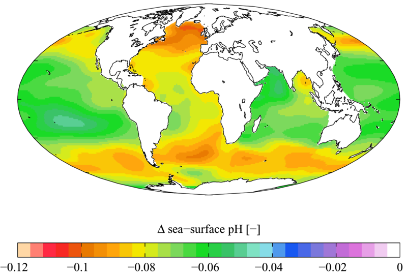 global acidification