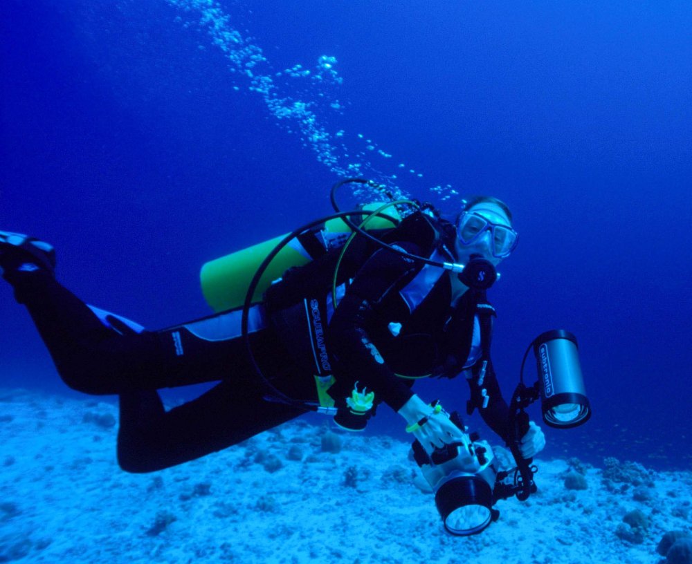 Annelise diving