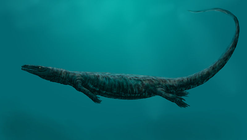 Mososaur reconstruction