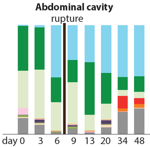 How bacteria phyla in a dead body alter with time.