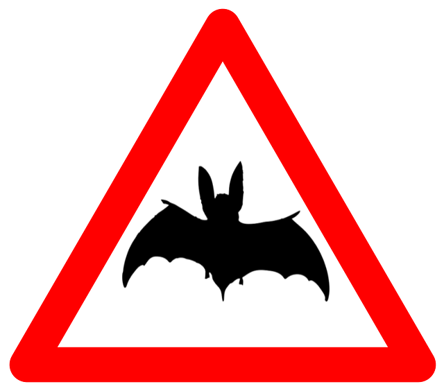 Bat highway code