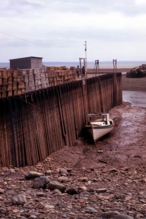 The bay of Fundy at low tide, 1972.