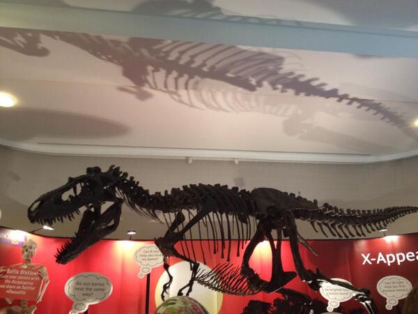 Gorgosaurus, a relative of the T. rex, at the Summer Science Exhibition