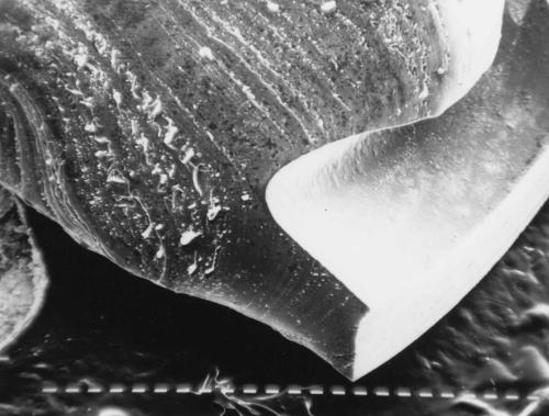 Image of fatigue of material (crankshaft)