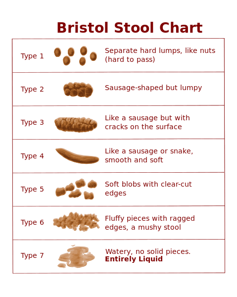 Different types of poo