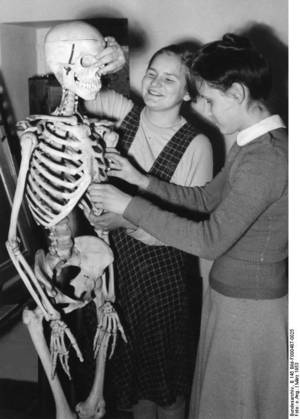 Students at the Institute for the Blind Marburg / Lahn, learn about human anatomy