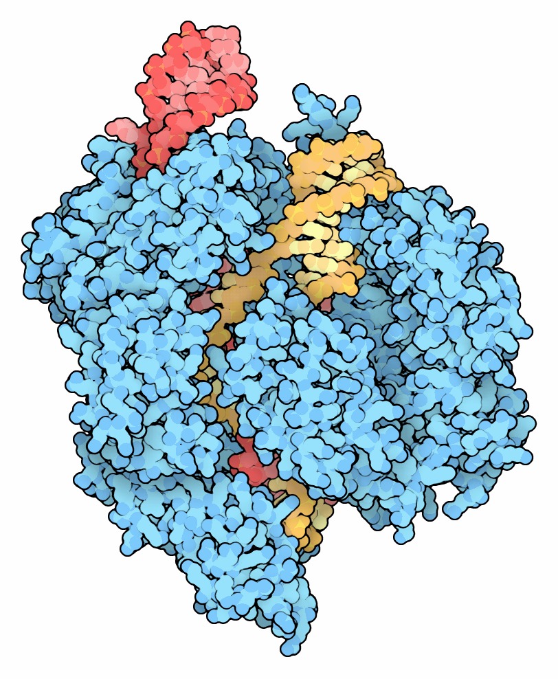 CRISPR