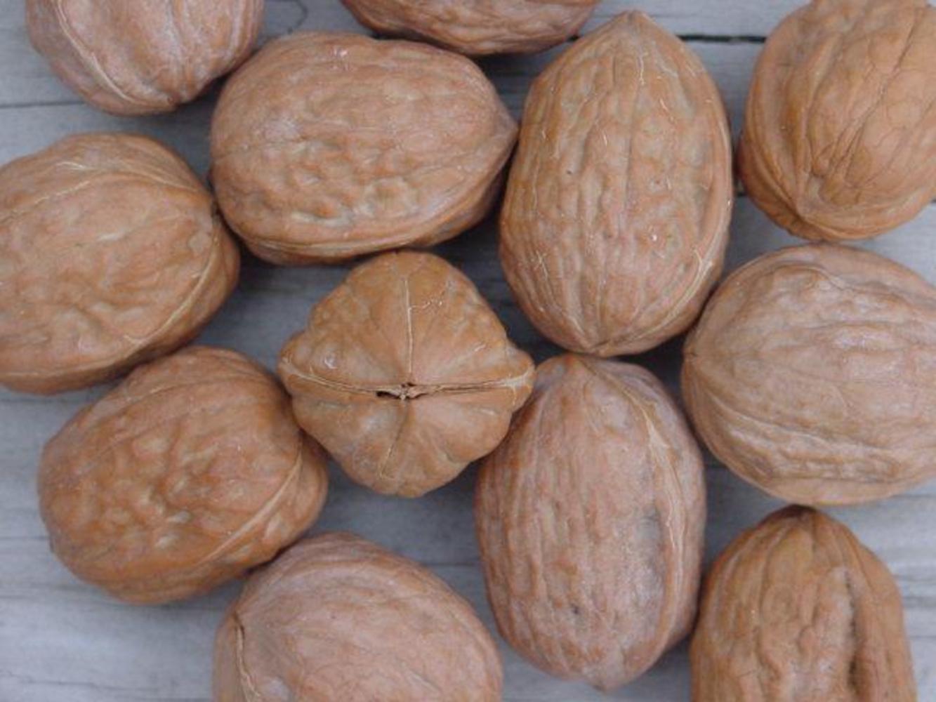 Walnuts