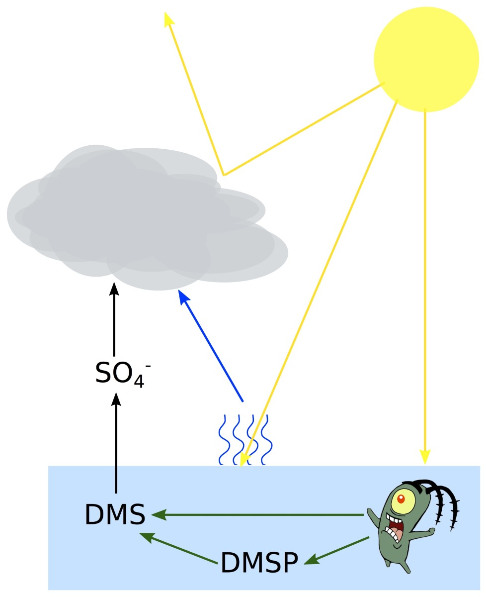 A simplified version of the UV-plankton-DMS-cloud links. There are also additional loops involving the creation of airborne sulphuric acid, which then create secondary CCNs and seed further clouds.