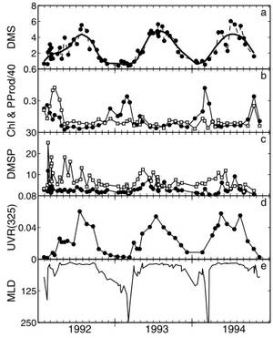 from Toole & Siegel (2004) showing the relationship between UV light and DMS concentration in the Sargasso sea. There is a clear correlation between UV radiation (UVR) and DMS concentration. What is really interesting about this is that DMS concentration spikes when chlorophyll concentration (indicative of how abundant phytoplankton are in the water) is at a minimum, showing that it is not just a result of having more phytoplankton in the water. The DMS spikes also coincide with a shallow Mixed Layer Depth (MLD), where the phytoplankton will be trapped closer to the ocean surface.