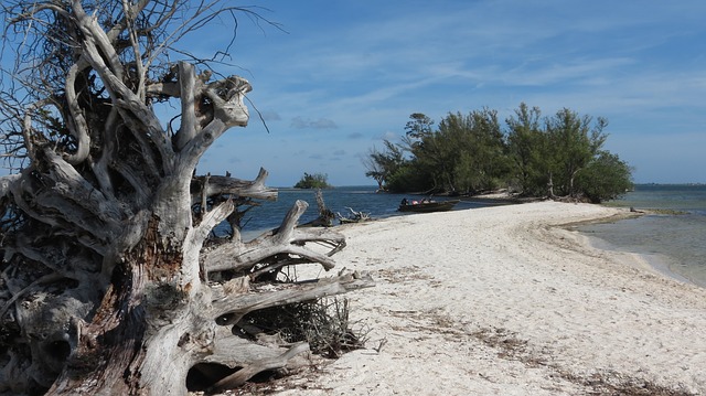 Beach, Desert Island